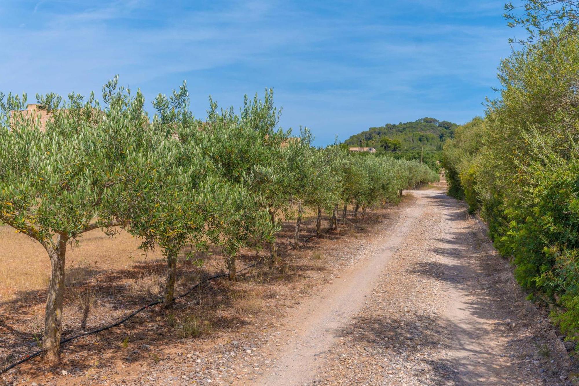 Son Floriana Villa Cala Bona  Buitenkant foto